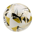 PUMA Cumbre CONMEBOL Libertadores MS