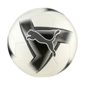 PUMA PRESTIGE ball