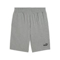 ESS No. 1 Logo Jersey Shorts 10''