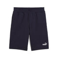ESS No. 1 Logo Shorts 10"