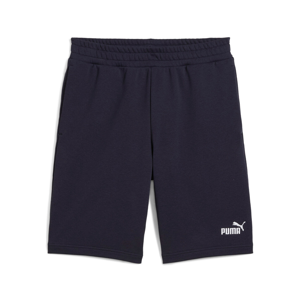 ESS No. 1 Logo Shorts 10"