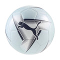 PUMA PRESTIGE ball
