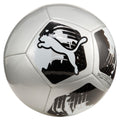 Puma Big Cat Ball