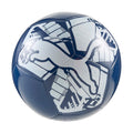 Puma Big Cat Ball