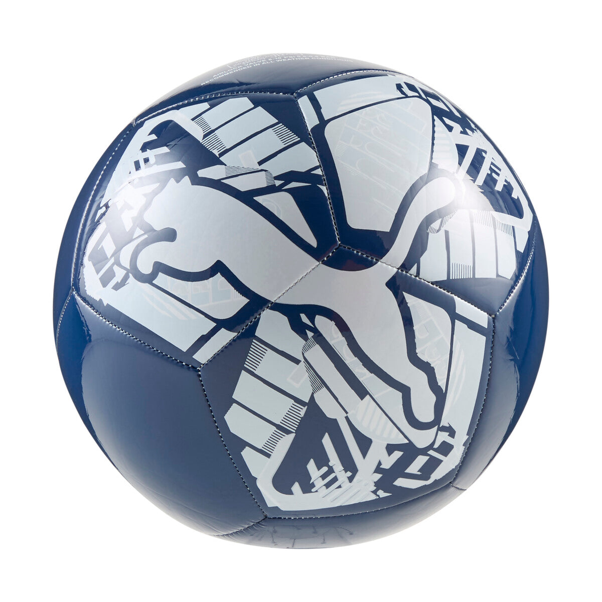 Puma Big Cat Ball