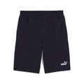 ESS No. 1 Logo Jersey Shorts 10''