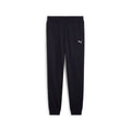 ESS Sweatpants FL cl