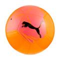 Puma Big Cat Ball