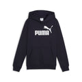 ESS No. 1 Logo Hoodie FL B